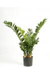 Kunstplant Zamioculcas Smaragd M